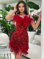 Загрузить изображение в средство просмотра галереи, ITNAN RED SEQUINS FEATHER MINI DRESS
