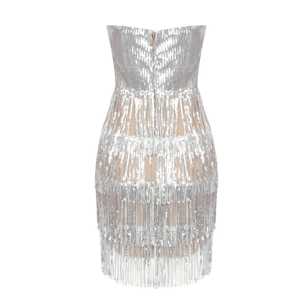 ROJESIC SILVER MINI DRESS